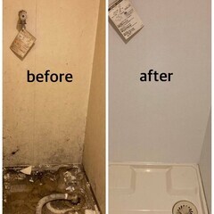 【カビ取り専門】お風呂・天井・壁のカビ除去ならカビゼロにお任せ！調査・見積り無料◎神奈川全域対応 - ハウスクリーニング