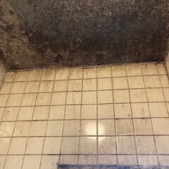 【カビ取り専門】お風呂・天井・壁のカビ除去ならカビゼロにお任せ！調査・見積り無料◎神奈川全域対応 − 神奈川県