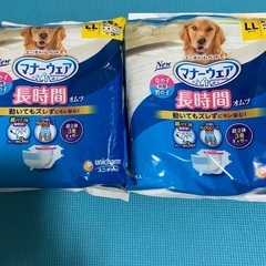 犬用オムツ