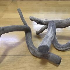 ◆　流木2本　1本のサイズ20～30㎝くらい（置き方で変わると思います）の画像