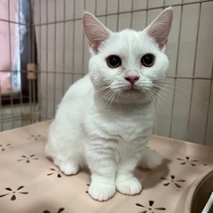 ご家族募集中🌷