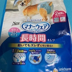 犬用マナーオムツ