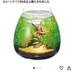 GEX ドロップ型　水槽　グラスアクア ティア 
20cmくらい