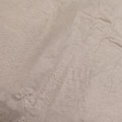 レインポンチョの画像