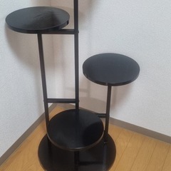 棚