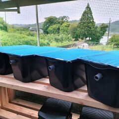めだか容器　メダカ容器　金魚容器　石臼