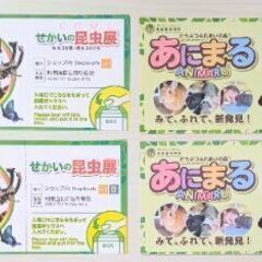 東南植物楽園　せかいの昆虫展2枚＆あにまーる2枚