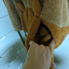 くまの着ぐるみ　パジャマの画像