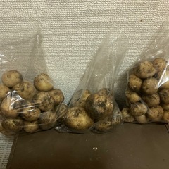 野菜