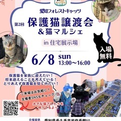 猫の譲渡会＆ミニマルシェ　長久手市