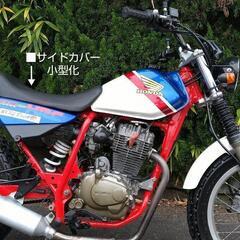 🌈FTR223D 貴重な限定車 & 低走行    アルミホイール スーパートラップマフラー 🌸メンテナンス&カスタム済み→すぐ乗れます  エンジン絶好調の画像