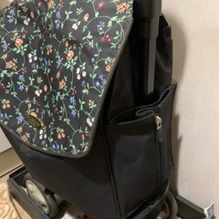 ショッピングカート　ウォーキングキャリー　アイカートⅡ-F iカートの画像