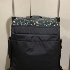 ショッピングカート　ウォーキングキャリー　アイカートⅡ-F iカートの画像