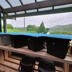 めだか容器　メダカ容器　金魚容器　石臼