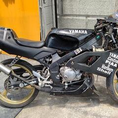 tzr50　実働　今週限定の画像