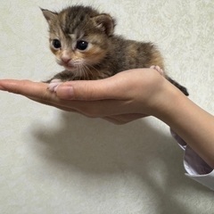 相談中