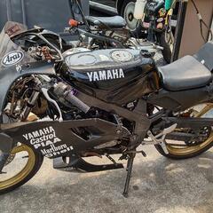 tzr50 実働　書付き　今週限定の画像