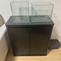水槽 30cm 水槽台