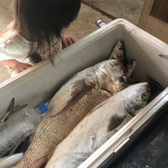 船釣り　電気釣りメンバー