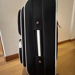 使用回数1回　スーツケースの画像