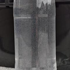 第１弾　メダカの餌　針子　ゾウリムシ