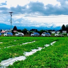 スイカ農家アルバイト【お電話ください】農業の画像