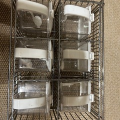 パール金属　調味料ケース　調味料入れ　調味料ラック