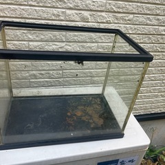 水槽