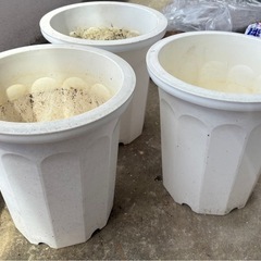 深め植木鉢、大型プラスチックプランター　1つ