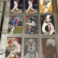 プロ野球チップス2024 カードの画像