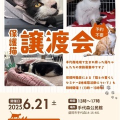 保護猫譲渡会兼猫との暮らしセミナー