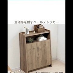 【❗️受け取り先決定❗️】コンパクトで便利◎分別ごみ箱付き収納ラック【アイリスオーヤマ／中古美品】の画像