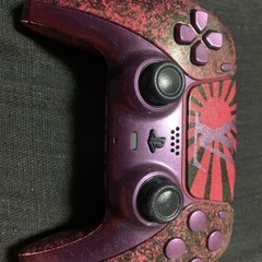 ps5 コントローラー カスタム