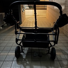 
エアバギー　ダブル　フレームの画像