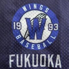 草野球試合助っ人メンバー募集