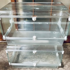 グラスハーモニー450N 2個セット