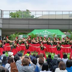アカハイフラスタジオ　Akahai Hula Studio