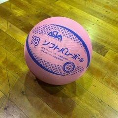 ソフトバレー 仲間募集(*ˊᵕˋ* )久留米 長門石