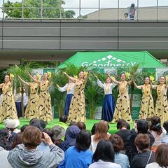 フラダンス体験会 − 大阪府