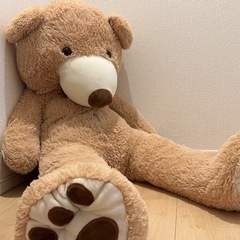 コストコくま 135cm