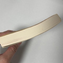 小説　恋愛寫眞　もうひとつの物語　市川拓司の画像