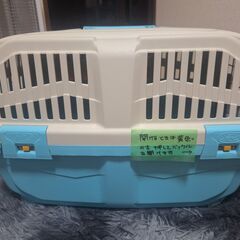 青と白のキャリーバッグの画像