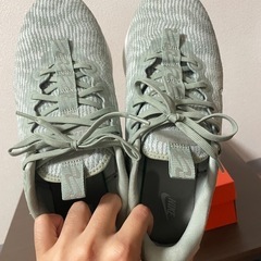 Nike motivaの画像