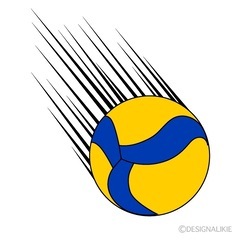 バレーボール🏐