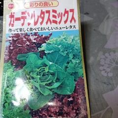 リーフレタス5種混合の種です