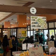 5/16日(金)本日メダカ出荷しました‼️戸田川緑地売店•陽だまり館(産直市場)　エサ　タモ網　ミジンコ − 愛知県