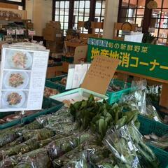 5/16日(金)本日メダカ出荷しました‼️戸田川緑地売店•陽だまり館(産直市場)　エサ　タモ網　ミジンコ - 名古屋市