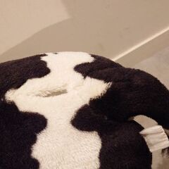 アニマルスツール チェア  世界地図 牛の画像