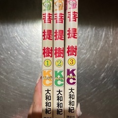 大和和紀 名作！ 菩提樹 全3巻セット KCフレンドの画像