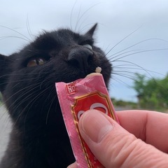 人が大好きなマルオ♡